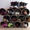 Display and organize your shoes in your closet on a solid aromatic red cedar shoe cubby organization kit. 1