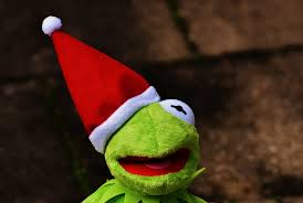6,776 free images of funny animals. Hd Wallpaper Kermit Frog Christmas Santa Hat Cute Funny Christmas Time Wallpaper Flare