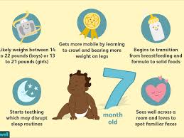 your 7 month old baby development milestones