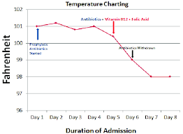 line chart shows the patients temperature during the course