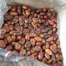 Kurma mozafati dikenal juga dengan nama kurma bam. Distributor Kurma Ajwa Madinah Jumbo Sukari Tunisia Air Zam Zam Buah Zuriat Madu Arab Dll Gigihweb