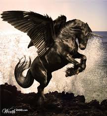 Pina Messina Adli Kullanicinin World 1000 Unicorn Pegacorn Pegasus Panosundaki Pin Hayvan Bebekler Hayvan Hayvanlar