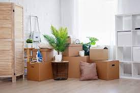 Les annonces des particuliers du crous : Comment Resilier Un Logement Crous Vlc Campus