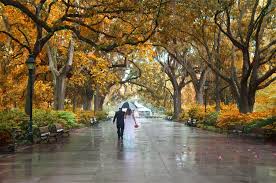 Forsyth Park In The Fall Savannah Ga Savannah Chat Travel Savannah Forsyth Park