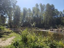 Take Action to Save Salmon TODAY!