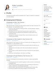 Cleaning workers or cleaners maintain and clean all public and private areas of your resume or cv for the cleaning position is the most helpful tool for introducing yourself to a recent posts. Domestic Cleaner Cv Sample July 2021