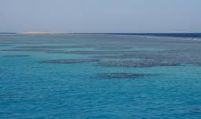 Gambar laut merah yang terbelah. Tenaga Yang Dibutuhkan Untuk Membelah Lautan Republika Online