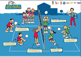 Resumen Del Voleibol Infografias Ejercicios De Voleibol Circuito Educacion Fisica Ejercicios De Educacion Fisica