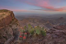 Big bend national park hotel deals. Sunset Over Cacti At The South Rim Big Bend National Park Photograph By Rob Greebon