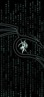 Hacking with kali linux : 1080x2340 Kali Linux Matrix 1080x2340 Resolution Wallpaper Hd Hi Tech 4k Wallpapers Images Photos And Background