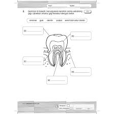 Penyebab anak susah sikat gigi selanjutnya adalah karena sikat giginya kurang menarik perhatian sang anak sehingga anak pun enggan menyikat gigi. Sukses Hebat Sains Tahun 3 Shopee Malaysia