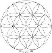Ausmalbilder Ausdrucken Mandalas Ausmalen Mandala Vorlage Lebens Blume Des Zum Und Nrblume Des Lebens Mandala Ausmalbild Mandala Art Diy Tattoo Art