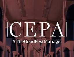 Cepa is your partner for customized educational study abroad programs in europe. Cepa Cepaeuropa ×˜×•×•×™×˜×¨