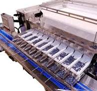 Automatic Cherry Tomato Blueberry Weighing Packing Equipment ...