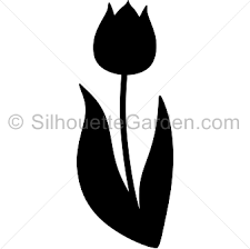 Tulip Silhouette