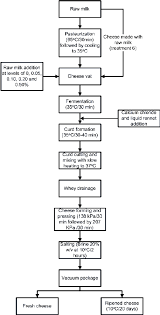 27 Proper Flow Chart Of Cheese