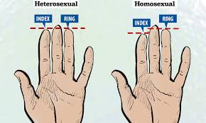 length of your ring and index fingers could reveal your