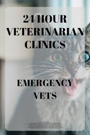 Maybe you would like to learn more about one of these? Pets At Home 24 Hour Vets Emergency Vet Big Cat Species Emergency Vet Clinic