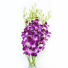 Pin On Floral Arrangements