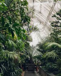 A Palmhouse At Watering Time For A Slightly More Tropical Tuesday It S A Bit Grey Here Haarkongreenhousetour Kew Gardens Greenhouse Plants Plants