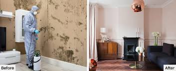 Damp patches on walls in bedroom or living room not only derogate building appearance but also damage structure and health. How To Remove Dampness From Wall Revive Home Interiors Professional Home Inspection India