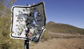 Whether you're cheering for one of the 15 teams that play in the cactus. Ironwood Forest Killers Of Saguaros Strike Again Local News Tucson Com