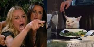 Imgur Com In 2020 Cat Memes White Cat Meme Woman Meme