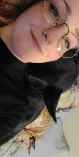 Lost black Sheppard mix dog in east akron area