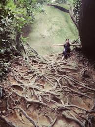Gunung datuk 2018 tanjung tuan forest, beach and lighthouse, hiking bukit batu putih, port dickson, malaysia kawad kaki kadet bomba mahiss (p) #2013 my hong kong trip | jamie chua amazing waterfall in malaysia. Weekend Adventure At Gunung Datuk