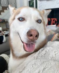 Danielle arreguin (@Daniellearregu2)