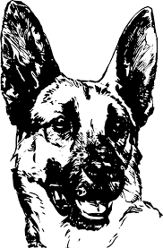 German Shepherd Line Art Image Transparent Png German Shepherd Dogs Dog Design Line Art Images