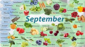 Welche kräuter und welche gemüse/obstsorten sind leicht anzubauen und wachsen in unserem klima gut? Gartenkalender 2020 Obst Und Gemuse Richtig Anpflanzen Und Ernten