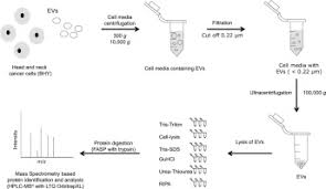 Comparison Of Methods To Isolate Proteins From Extracellular