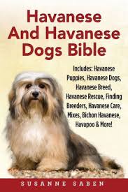 Our havanese pups are akc registered cuddly, very loving, and smart. Havanese And Havanese Dogs Bible Includes Havanese Puppies Havanese Dogs Havanese Breed Havanese Rescue Finding Breeders Havanese Care Mixes Bichon Havanese Havapoo And More By Susanne Saben Paperback Barnes Noble