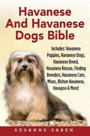 New and used items, cars, real estate, jobs, services, vacation rentals and more virtually 2 havanese puppies ckc reg'd hypoallergenic, both males. Havanese And Havanese Dogs Bible Includes Havanese Puppies Havanese Dogs Havanese Breed Havanese Rescue Finding Breeders Havanese Care Mixes Bichon Havanese Havapoo And More By Susanne Saben Paperback Barnes Noble
