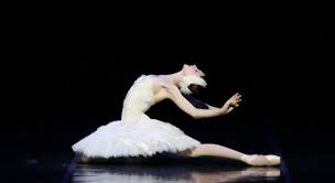 It turns out that ballet is a complicated art form, with as much to learn about its history and rules as . Russian Prima Ballerina Anna Pavlova Trivia Questions Quizzclub