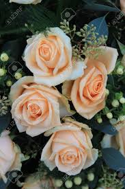 21 of 24 view all Big Pale Orange Flowers In A Wedding Bouquet Stock Photo Picture And Royalty Free Image Image 12015298