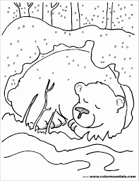 coloriage ours polaire a imprimer animal coloring pages bear winter lit de princesse