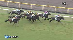 エプソムカップは、日本中央競馬会 (jra) が東京競馬場で施行する中央競馬の重賞競走（giii）である。 寄贈賞を提供するエプソム競馬場（epsom race course）はロンドンから南に約27kmのサリー州エ. ã‚¨ãƒ—ã‚½ãƒ ã‚«ãƒƒãƒ—2021 å‡ºèµ°äºˆå®šé¦¬ äºˆæƒ³ã‚ªãƒƒã‚º é¨Žæ‰‹ æœŸå¾…ã®å¤§ãã•ã‚'åŠ›ã«