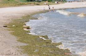 Konaklamanız için fiyatları karşılaştırın ve en iyi teklifi alın. Cap Aurora StaÅ£iunea BolnavÄ De Reumatism Evenimentul Zilei