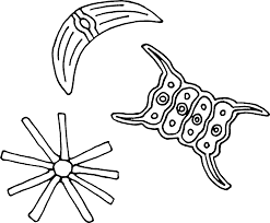A cactus (plural cacti, cactuses, or less commonly, cactus) is a member of the plant family cactaceae, a family comprising about 127 genera with some 1750 known species of the order. Https Edoc Ub Uni Muenchen De 25330 7 Schachtl Katrin F Pdf
