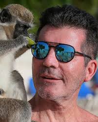 Rich List 2020: profiles 304-399=, featuring Simon Cowell and Sir Elton John