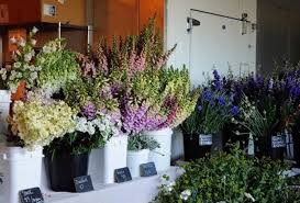 Alibaba.com offers 12,747 organic flowers wholesale products. Katherine Sherba Archives Debra Prinzing