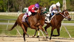 Plus, you can try your luck and play pick 4, pick 5 or pick 6 coupons. Dan S Double Looking For Longshots At Tampa Bay Downs America S Best Racing