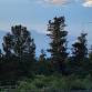 Forest Communities: Basic Dendrology Course event in Augusta, GA