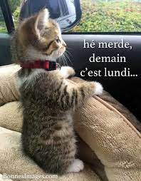 31 Demain c'est lundi images, photos et illustrations pour whatsapp -  Bonnes Images