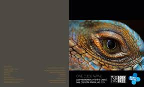 Our exotic animals farm since opening has been home to a variety of exotic animals including fennec foxes, falcons, marmoset monkeys, squirrel monkeys, savannah kittens and many more. One Click Away An Investigation Into The Online Sale Of Exotic Animals As Pets By Bornfree Issuu