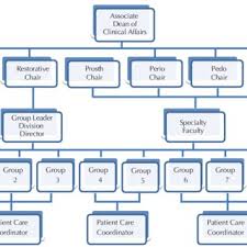 Organizational Chart For Comprehensive Care Model For