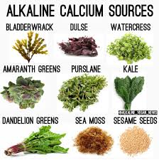 Alkaline Calcium Alkaline Diet Recipes Alkaline Diet
