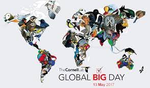 Comprehensive malaysia related websites in our malaysia directory section. Global Big Day 2017 Malaysia Travel Food Lifestyle Blog